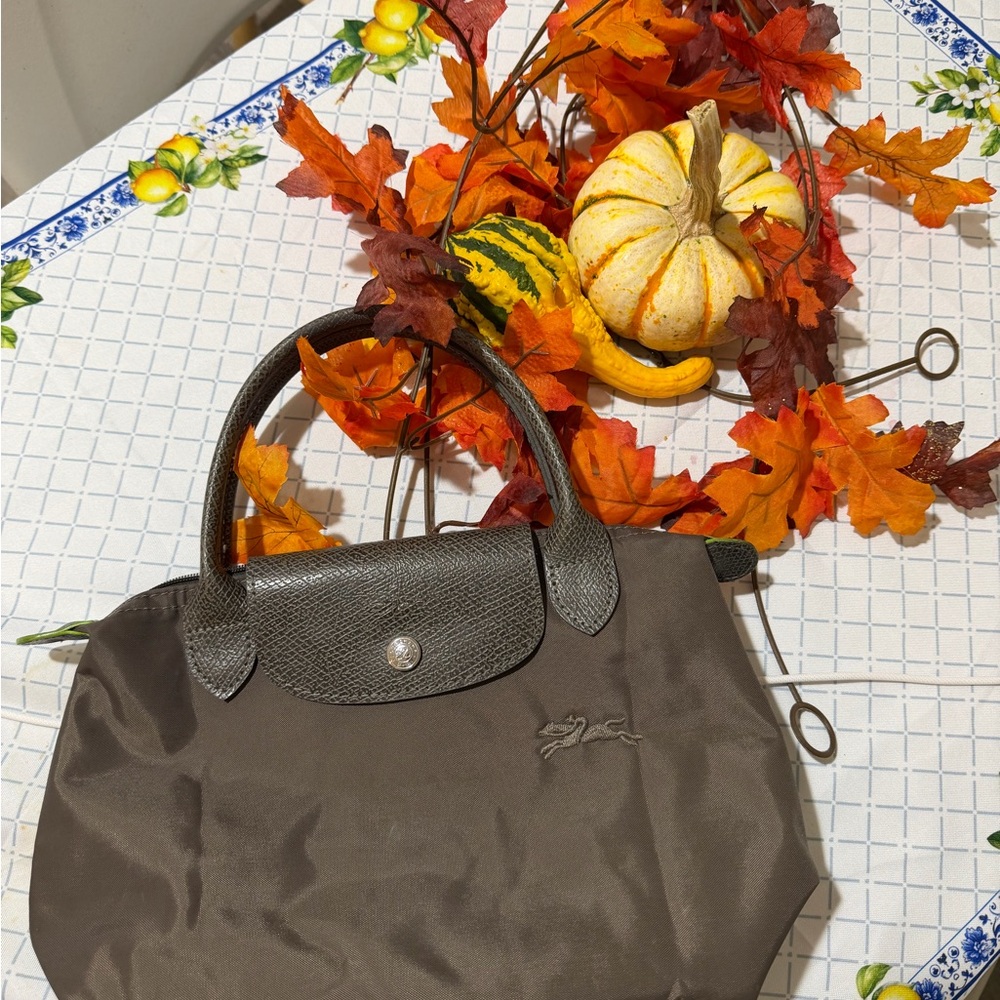 Longchamp Dark Brown Tote Bag